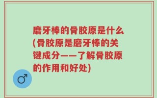磨牙棒的骨胶原是什么(骨胶原是磨牙棒的关键成分——了解骨胶原的作用和好处)
