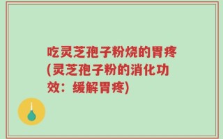 吃灵芝孢子粉烧的胃疼(灵芝孢子粉的消化功效：缓解胃疼)