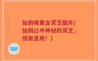 仙鹤嘴里含灵芝图片(仙鹤口中神秘的灵芝，惊艳呈现！)