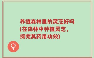 养植森林里的灵芝好吗(在森林中种植灵芝，探究其药用功效)