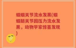 蝈蝈关节流水发黑(蝈蝈腿关节因压力流水发黑，动物学家惊喜发现)