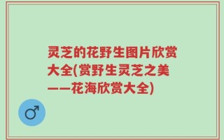 灵芝的花野生图片欣赏大全(赏野生灵芝之美——花海欣赏大全)