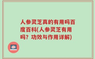 人参灵芝真的有用吗百度百科(人参灵芝有用吗？功效与作用详解)
