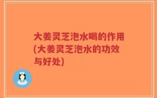大姜灵芝泡水喝的作用(大姜灵芝泡水的功效与好处)