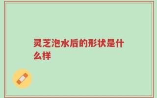 灵芝泡水后的形状是什么样