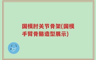 国模肘关节骨架(国模手臂骨骼造型展示)