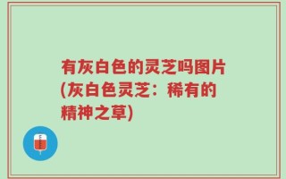 有灰白色的灵芝吗图片(灰白色灵芝：稀有的精神之草)