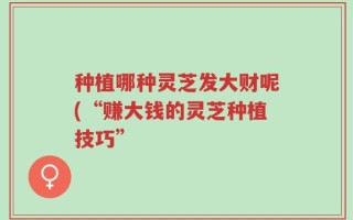 种植哪种灵芝发大财呢(“赚大钱的灵芝种植技巧”