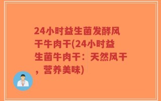 24小时益生菌发酵风干牛肉干(24小时益生菌牛肉干：天然风干，营养美味)