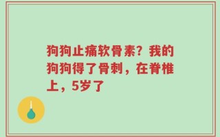 狗狗止痛软骨素？我的狗狗得了骨刺，在脊椎上，5岁了