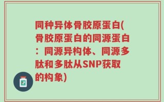 同种异体骨胶原蛋白(骨胶原蛋白的同源蛋白：同源异构体、同源多肽和多肽从SNP获取的构象)