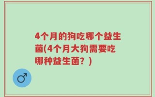 4个月的狗吃哪个益生菌(4个月大狗需要吃哪种益生菌？)