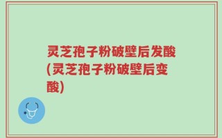 灵芝孢子粉破壁后发酸(灵芝孢子粉破壁后变酸)
