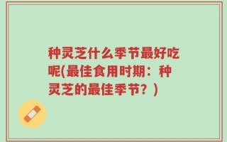 种灵芝什么季节最好吃呢(最佳食用时期：种灵芝的最佳季节？)