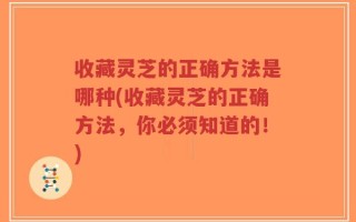 收藏灵芝的正确方法是哪种(收藏灵芝的正确方法，你必须知道的！)