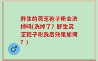 野生的灵芝孢子粉会洗掉吗(洗掉了？野生灵芝孢子粉洗后效果如何？)