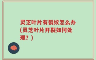灵芝叶片有裂纹怎么办(灵芝叶片开裂如何处理？)
