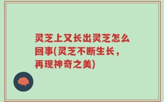 灵芝上又长出灵芝怎么回事(灵芝不断生长，再现神奇之美)