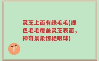 灵芝上面有绿毛毛(绿色毛毛覆盖灵芝表面，神奇景象惊艳眼球)