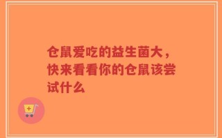 仓鼠爱吃的益生菌大，快来看看你的仓鼠该尝试什么