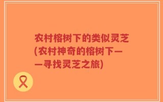 农村榕树下的类似灵芝(农村神奇的榕树下——寻找灵芝之旅)