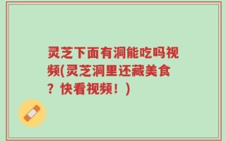 灵芝下面有洞能吃吗视频(灵芝洞里还藏美食？快看视频！)