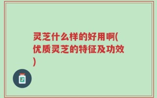 灵芝什么样的好用啊(优质灵芝的特征及功效)