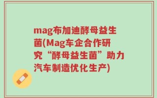 mag布加迪酵母益生菌(Mag车企合作研究“酵母益生菌”助力汽车制造优化生产)