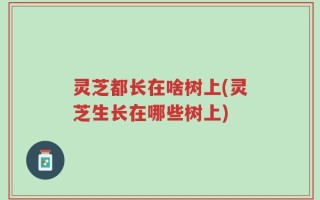 灵芝都长在啥树上(灵芝生长在哪些树上)