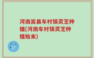 河南嵩县车村镇灵芝种植(河南车村镇灵芝种植始末)