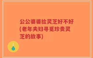 公公婆婆捡灵芝好不好(老年夫妇寻觅珍贵灵芝的故事)
