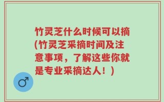 竹灵芝什么时候可以摘(竹灵芝采摘时间及注意事项，了解这些你就是专业采摘达人！)