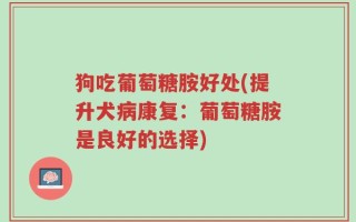 狗吃葡萄糖胺好处(提升犬病康复：葡萄糖胺是良好的选择)