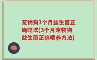 宠物狗3个月益生菌正确吃法(3个月宠物狗益生菌正确喂养方法)