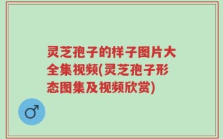 灵芝孢子的样子图片大全集视频(灵芝孢子形态图集及视频欣赏)