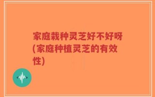 家庭栽种灵芝好不好呀(家庭种植灵芝的有效性)