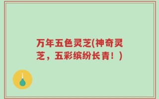 万年五色灵芝(神奇灵芝，五彩缤纷长青！)