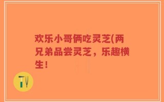 欢乐小哥俩吃灵芝(两兄弟品尝灵芝，乐趣横生！