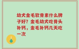 幼犬金毛软骨素什么牌子好？金毛幼犬吃骨头补钙，金毛补钙几天吃一次
