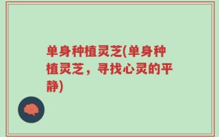 单身种植灵芝(单身种植灵芝，寻找心灵的平静)