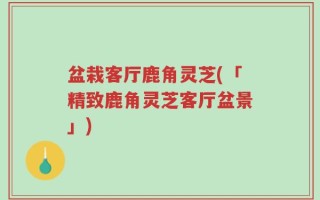 盆栽客厅鹿角灵芝(「精致鹿角灵芝客厅盆景」)