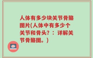 人体有多少块关节骨骼图片(人体中有多少个关节和骨头？：详解关节骨骼图。)