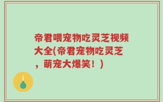 帝君喂宠物吃灵芝视频大全(帝君宠物吃灵芝，萌宠大爆笑！)