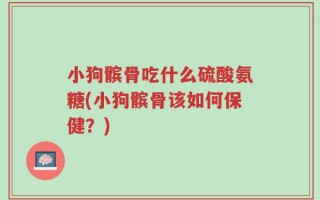 小狗髌骨吃什么硫酸氨糖(小狗髌骨该如何保健？)