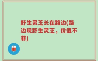 野生灵芝长在路边(路边现野生灵芝，价值不菲)
