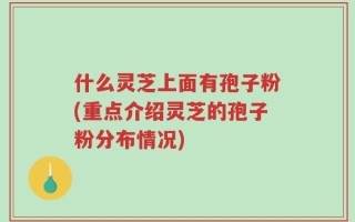 什么灵芝上面有孢子粉(重点介绍灵芝的孢子粉分布情况)