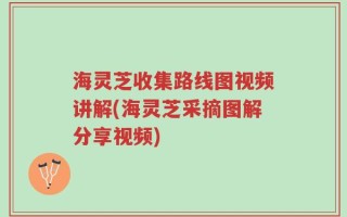 海灵芝收集路线图视频讲解(海灵芝采摘图解分享视频)