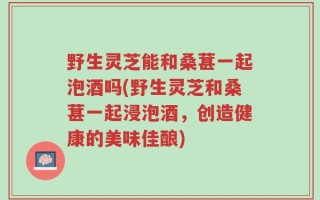 野生灵芝能和桑葚一起泡酒吗(野生灵芝和桑葚一起浸泡酒，创造健康的美味佳酿)
