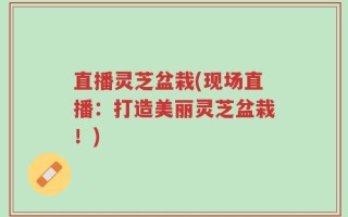 直播灵芝盆栽(现场直播：打造美丽灵芝盆栽！)