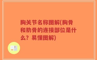 胸关节名称图解(胸骨和肋骨的连接部位是什么？易懂图解)